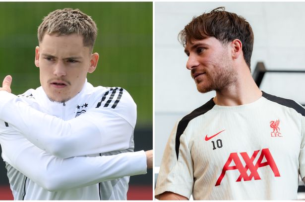 Florian Wirtz of Germany and Alexis Mac Allister of Liverpool