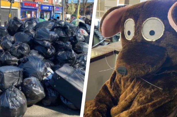 A huge pile of rubbish in Balsall Heath on April 1/a man in a rat costume before a full council meeting gets underway at Birmingham City Council House