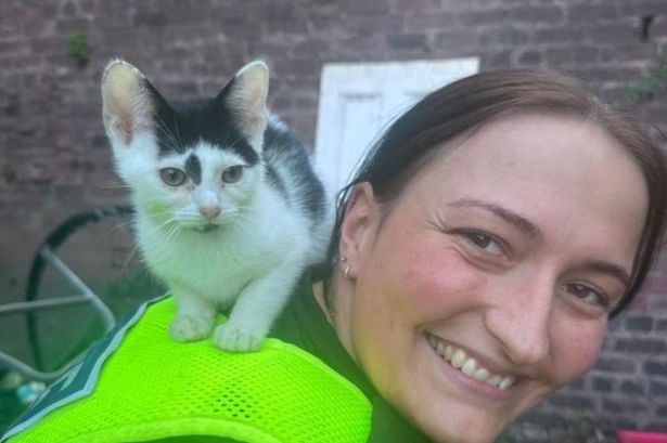 Response officer PC Carpenter with one of the rescued kittens
