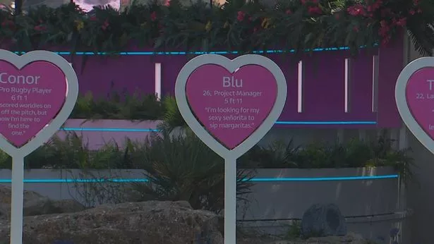 Blu's Dating Profile Sign
