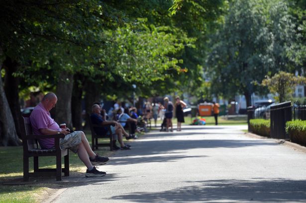 People enjoying the shade in a Cardiff park