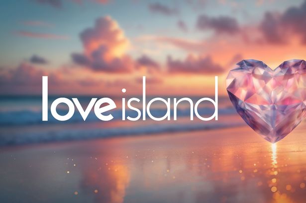 Love Island Logo