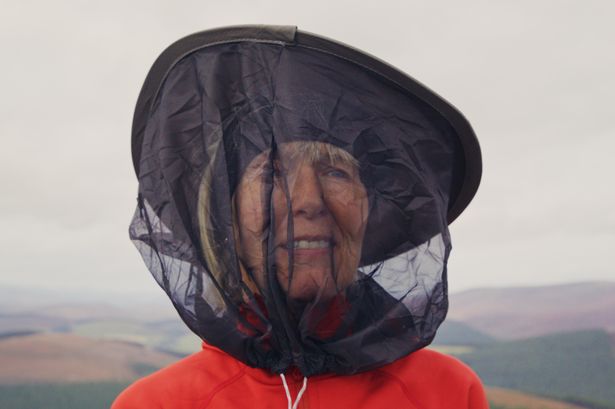 Senior woman putting on a hat with netting to prevent midges biting her skin. The background is in the Tomintoul district of the Scottish Highlands, an area where midges are about average in ferocity and persistence.