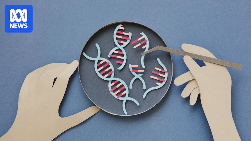 World-first CRISPR therapy could 'transform' treatment for rare genetic diseases, but key challenges lie ahead