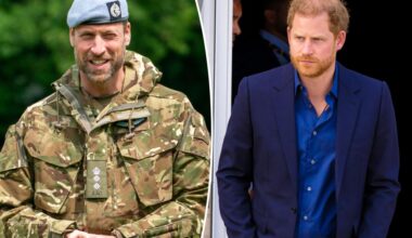 Prince William appears to take dig at brother Prince Harry