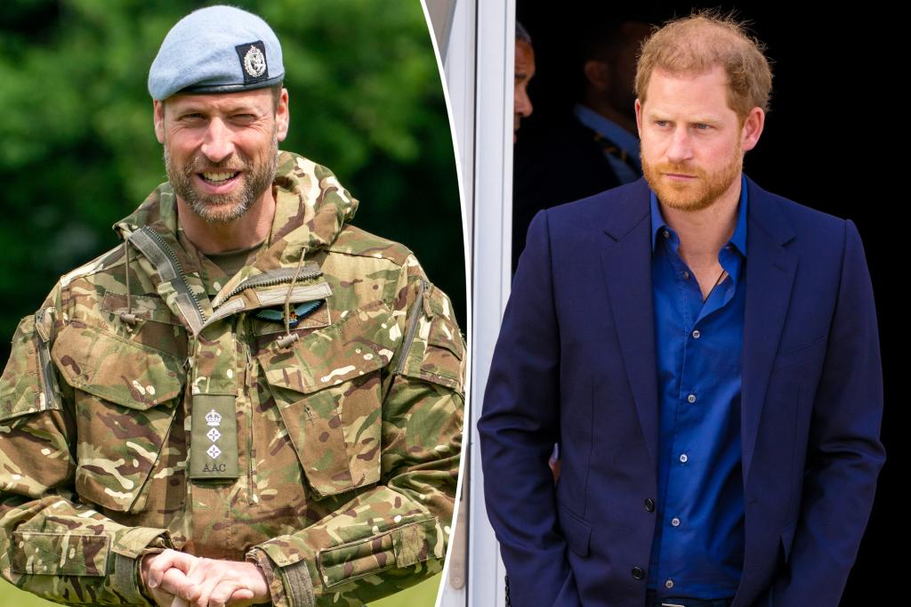 Prince William appears to take dig at brother Prince Harry