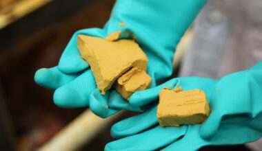 Why uranium mining is having a resurgence in the United States