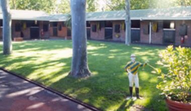 The ATC will meet later this week to decide on which trainer takes over Leilani Lodge.