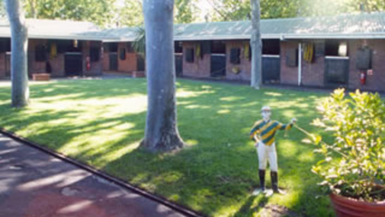 The ATC will meet later this week to decide on which trainer takes over Leilani Lodge.