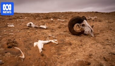 In this town, the impact of a changing climate is starkly felt
