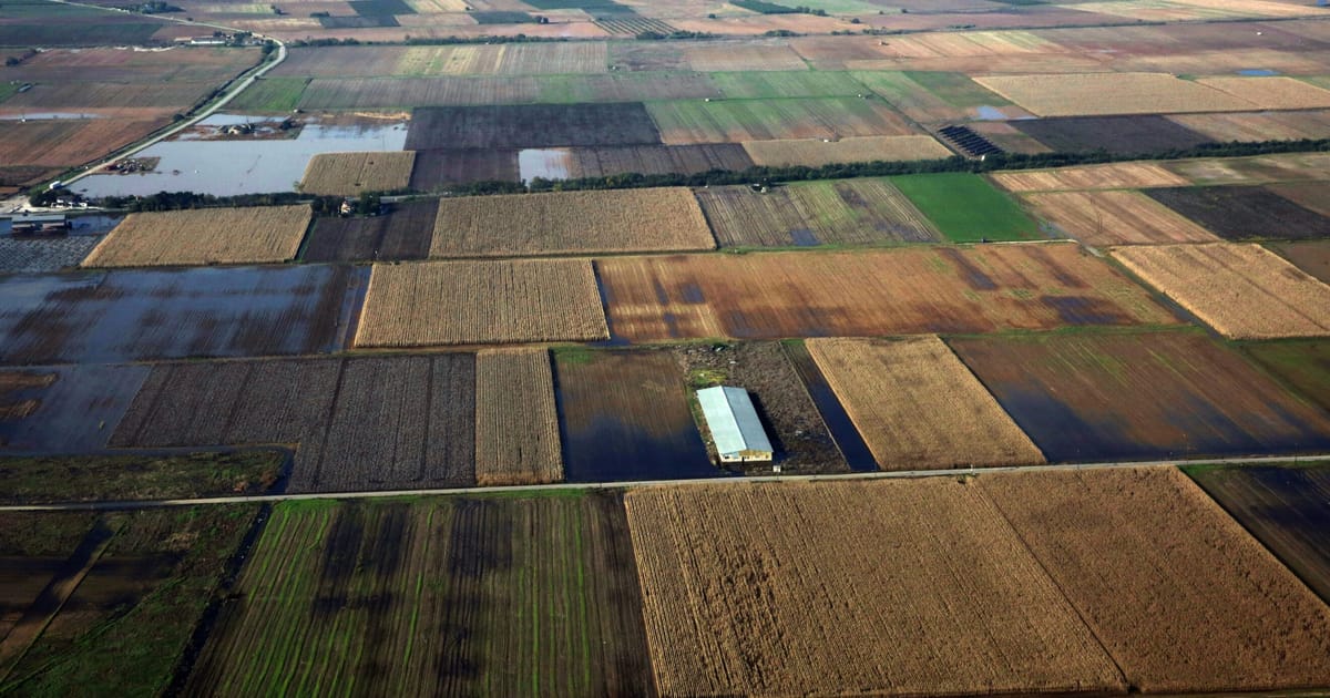 EU fines Greece €400M over farm aid debacle – POLITICO