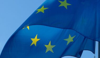 Elon Musk’s feud with Trump could mean stronger EU Big Tech enforcement, experts say
