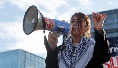 French MEP Rima Hassan detained in Israel following 'illegal entry'