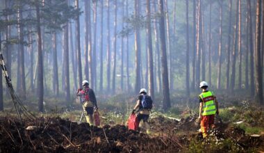 Satellites show where forests are being lost - now AI is helping researchers pinpoint why
