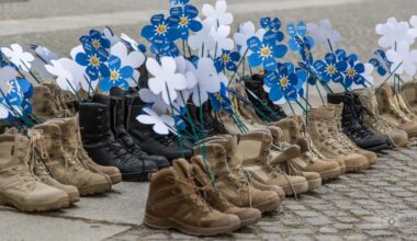 Germany is rearming, but what about its veterans?