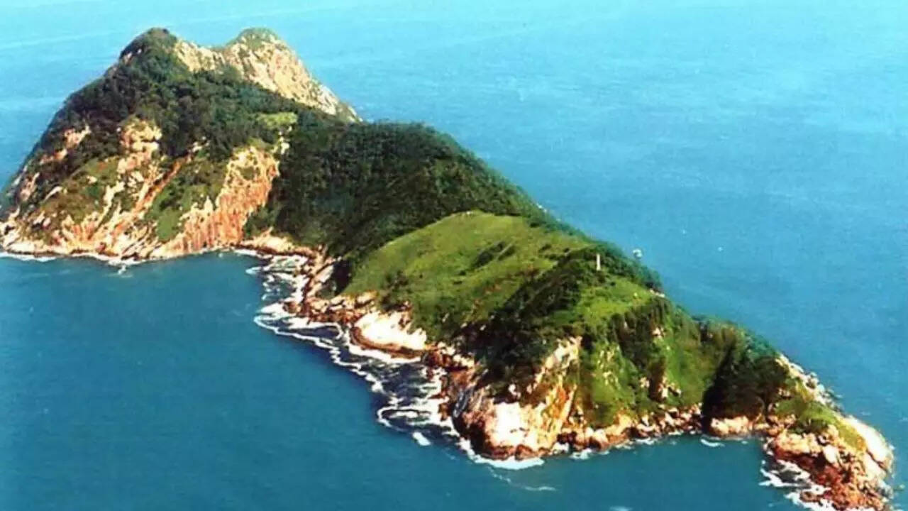 This place is home to 3000 deadliest snakes on Earth​