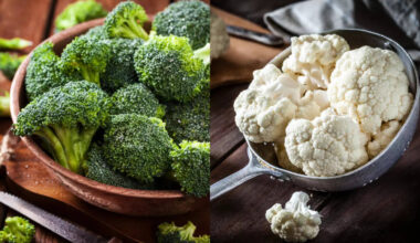 Which is healthier and the right way to cook them