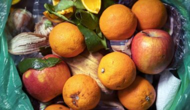 Hampshire County Council to expand food waste recycling