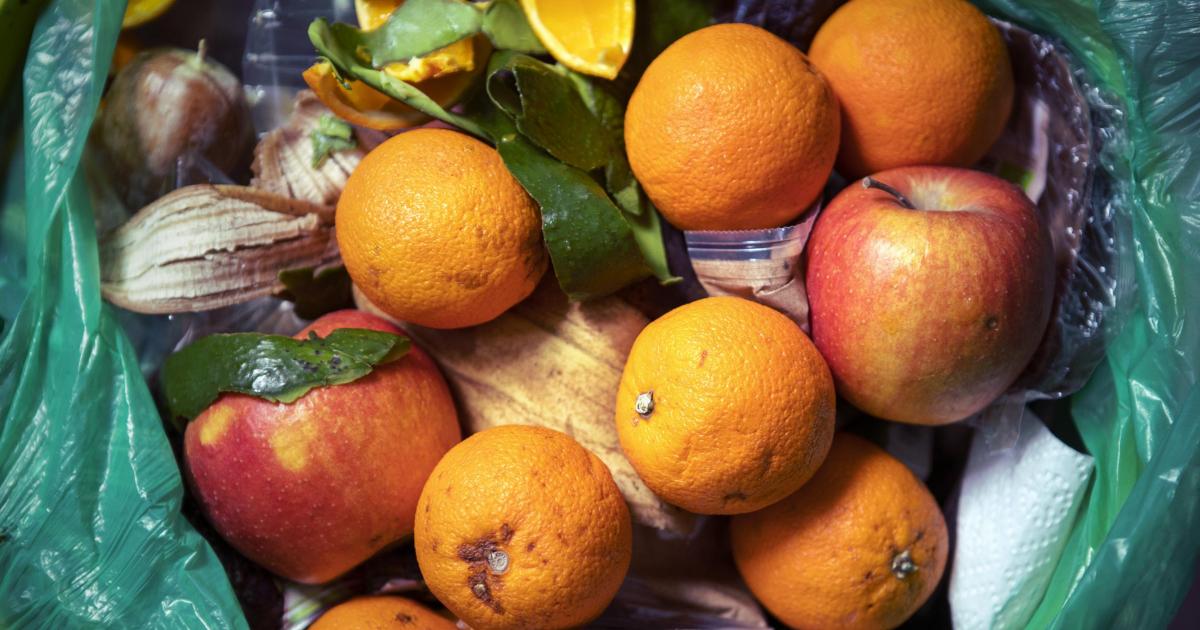 Hampshire County Council to expand food waste recycling