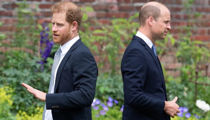 Prince William felt great sadness after Harrys life-changing decision