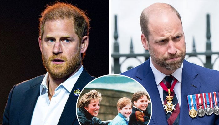 Prince Harry regrets joint decision with Prince William about mum Diana