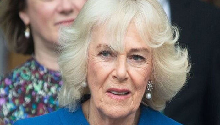 Queen Camilla reveals hidden desire amid King Charles health woes