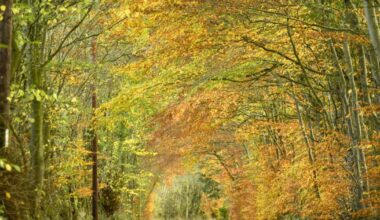 How being active helps boost mental health by Martin Furber