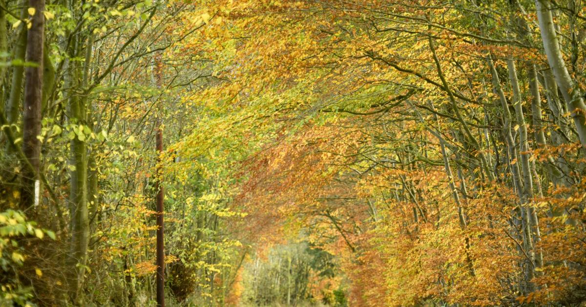 How being active helps boost mental health by Martin Furber