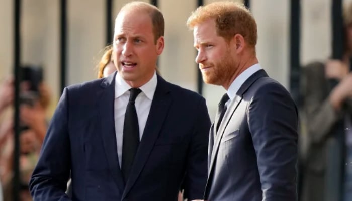 Prince William makes peace with Prince Harry in heartbreaking move