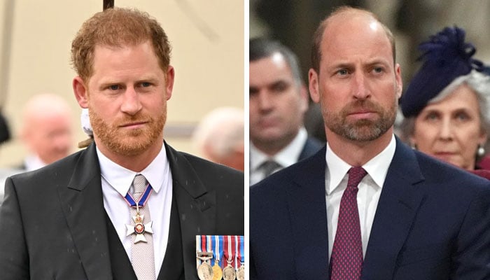 Prince Harry supports Prince William’s prompt decision to protect charity