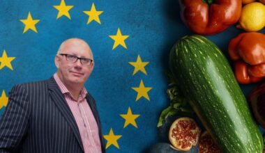 Fruit and veg avoid Brexit border chaos | News