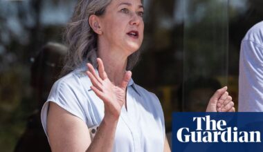 Boele says Labor risks squashing business confidence on energy transition without firmer climate change stance | Renewable energy