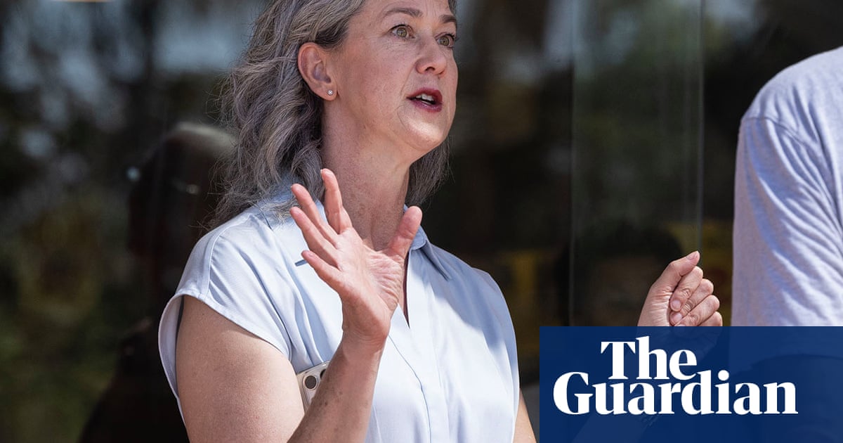 Boele says Labor risks squashing business confidence on energy transition without firmer climate change stance | Renewable energy
