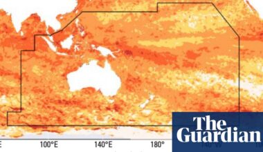Marine heatwave found to have engulfed area of ocean five times the size of Australia | Oceans