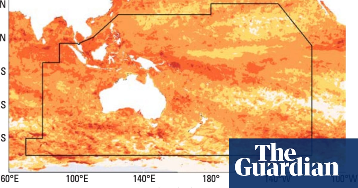 Marine heatwave found to have engulfed area of ocean five times the size of Australia | Oceans