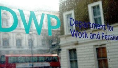 Ipso logo