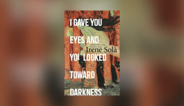 I Gave You Eyes and You Looked Toward Darkness by Irene Solà review