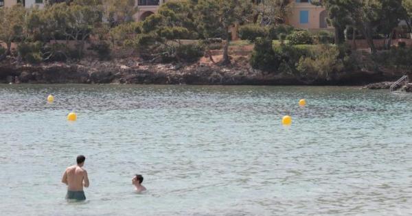 Biologists in Mallorca removing manta ray from close to a beach