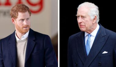 Expert Reveals Why ‘Loose Cannon’ Harry Didn't Meet Charles During Canada Visit