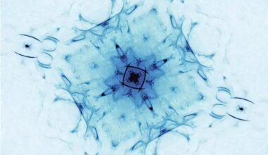 Spontaneous symmetry breaking in electron systems proves elusive