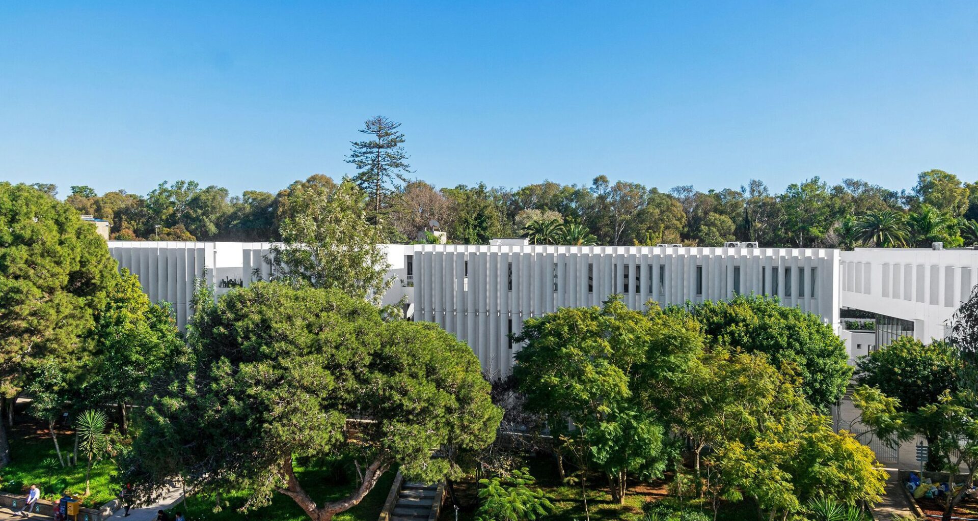 Descartes School / Arpio Architects