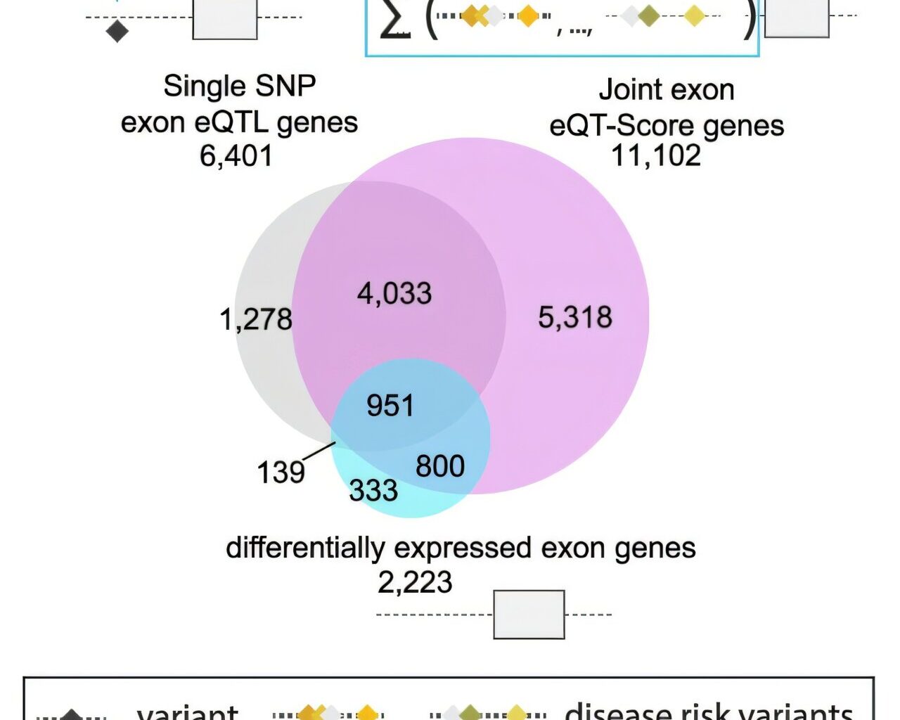 Genetic analysis reveals shared biological mechanisms in depression, bipolar disorder and schizophrenia