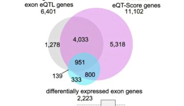 Genetic analysis reveals shared biological mechanisms in depression, bipolar disorder and schizophrenia