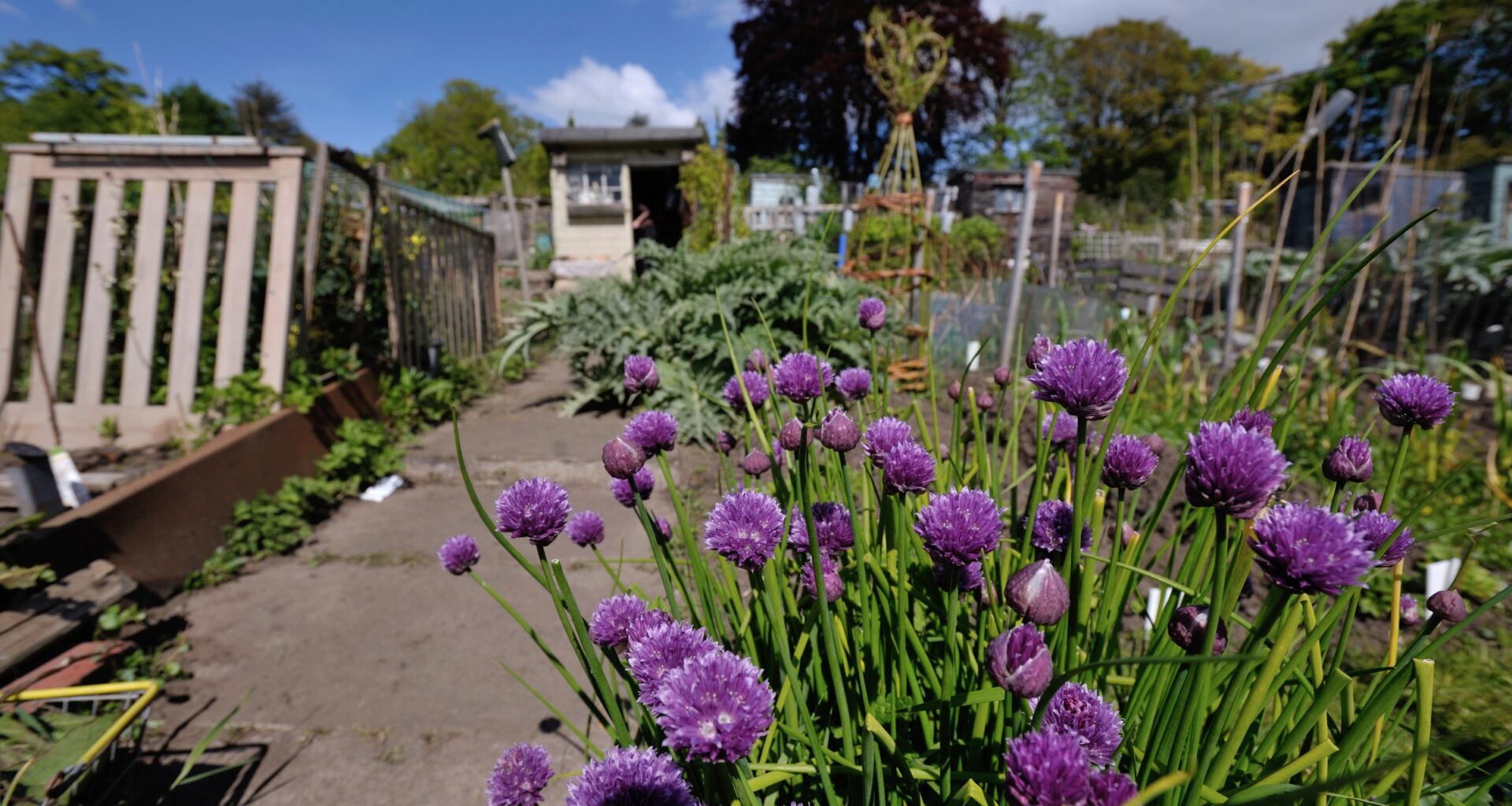 Unearthed Edinburgh - a photography competition to enter