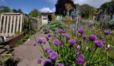 Unearthed Edinburgh - a photography competition to enter
