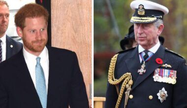 Prince Harry Accused of Trying to Upstage Charles With a ‘Pattern of Distractions’