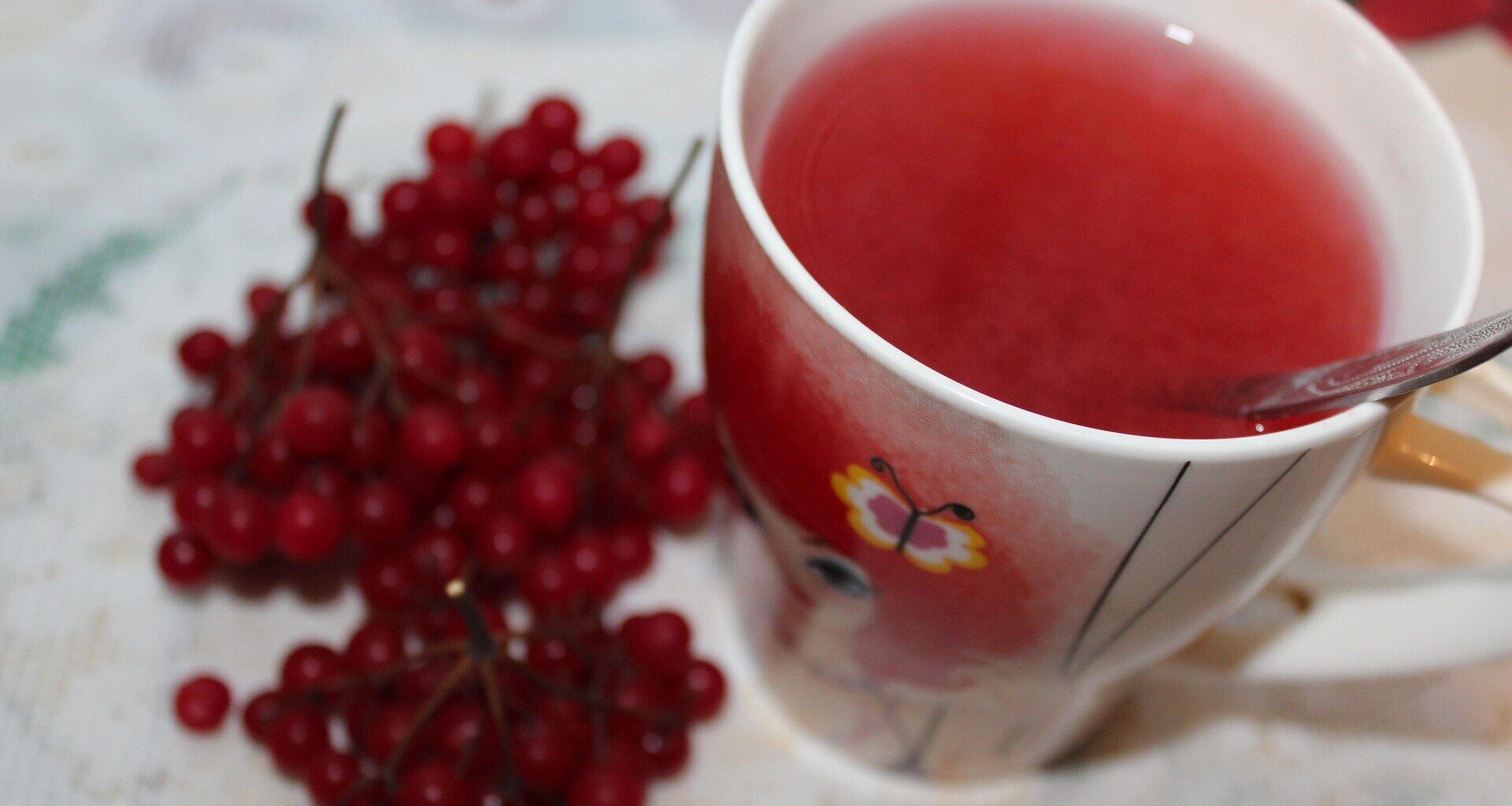 Tea, berries, dark chocolate and apples could lead to a longer life span, flavonoid study finds