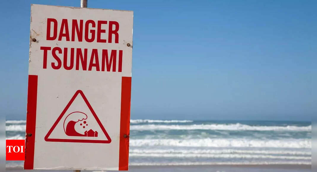 A mega tsunami could strike the US with little warning: Understanding Cascadia, the danger zones, and how to get ready