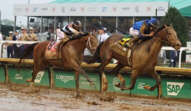 2025 Belmont Stakes - Horse racing morning line odds, post positions, jockeys