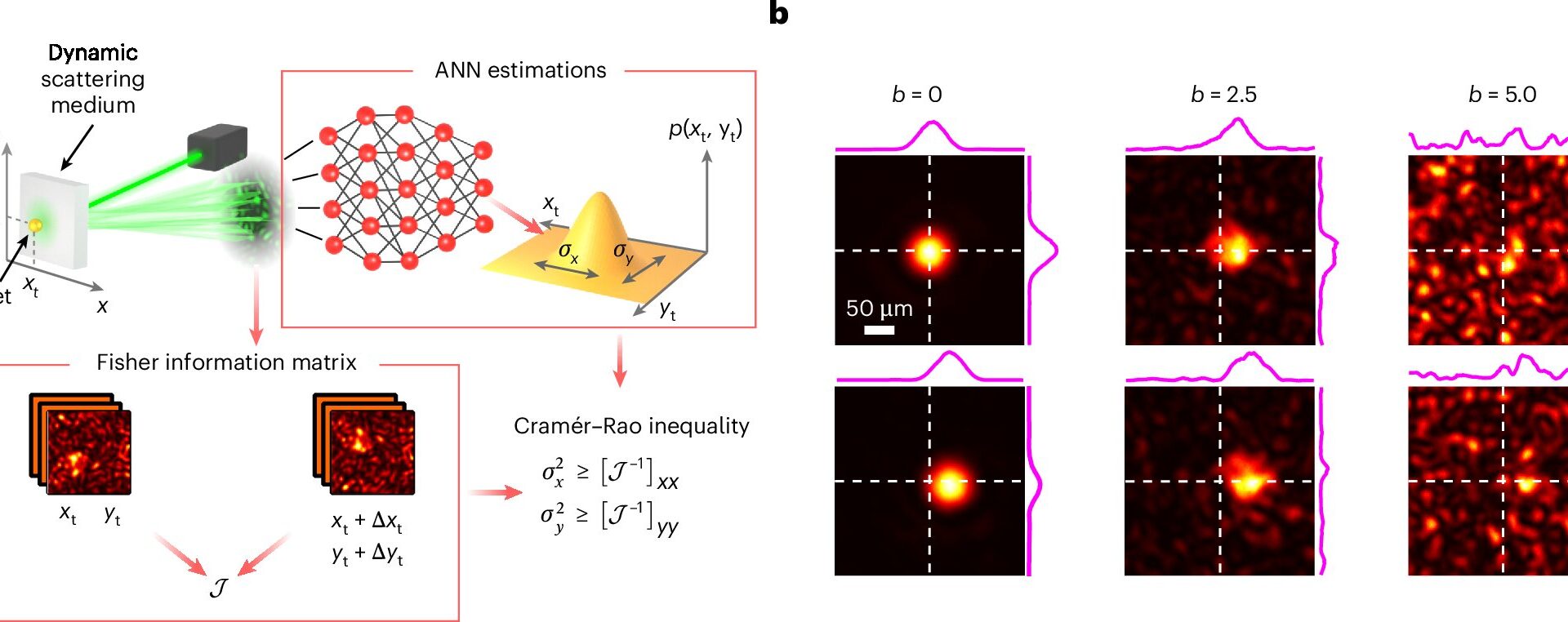 AI algorithms approach the theoretical limit of optical measurement precision